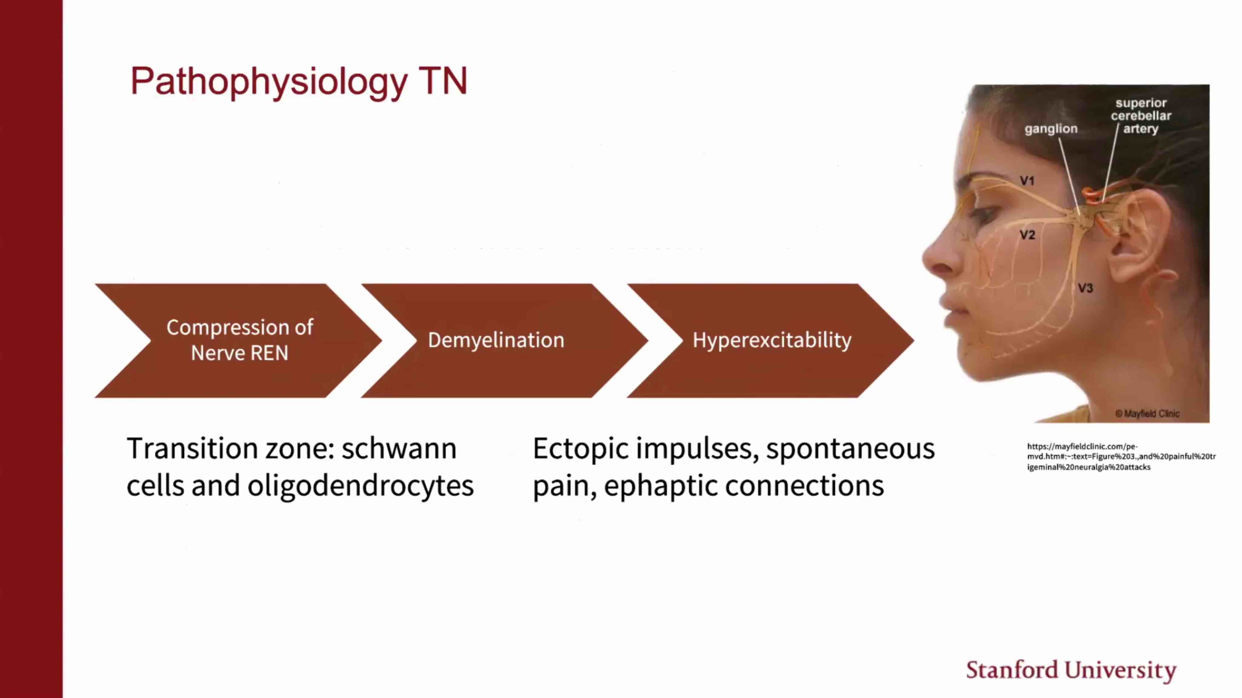 Pathophy TN